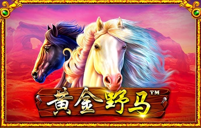 kaiyun登录入口登录